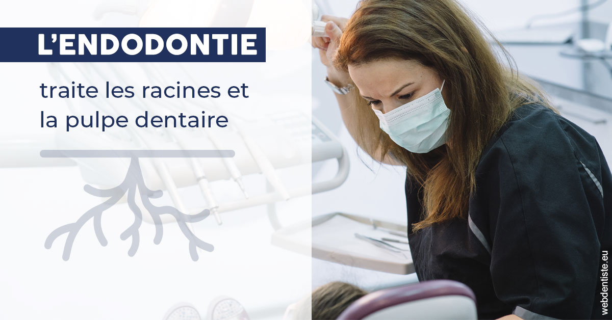 https://damiani-richelme.test.moncomptewebdentiste.fr/L'endodontie 1