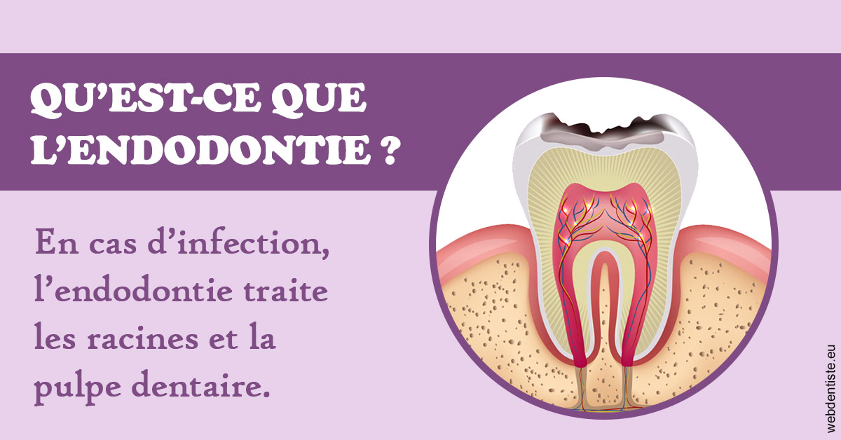 https://damiani-richelme.test.moncomptewebdentiste.fr/2024 T1 - Endodontie 02
