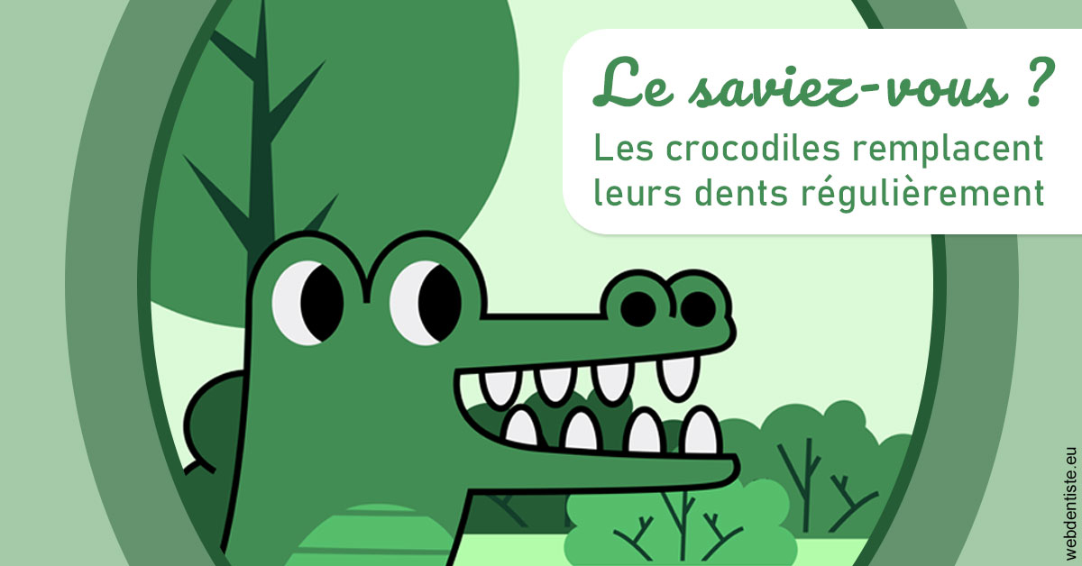 https://damiani-richelme.test.moncomptewebdentiste.fr/Crocodiles 2