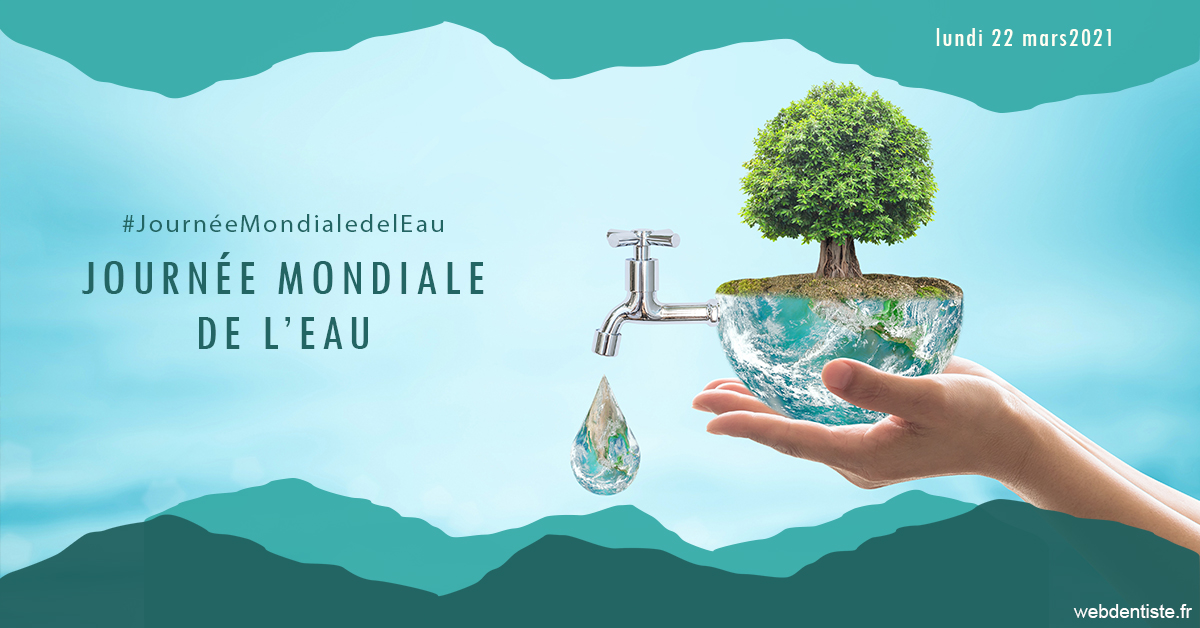 https://damiani-richelme.test.moncomptewebdentiste.fr/Journée de l'eau 1