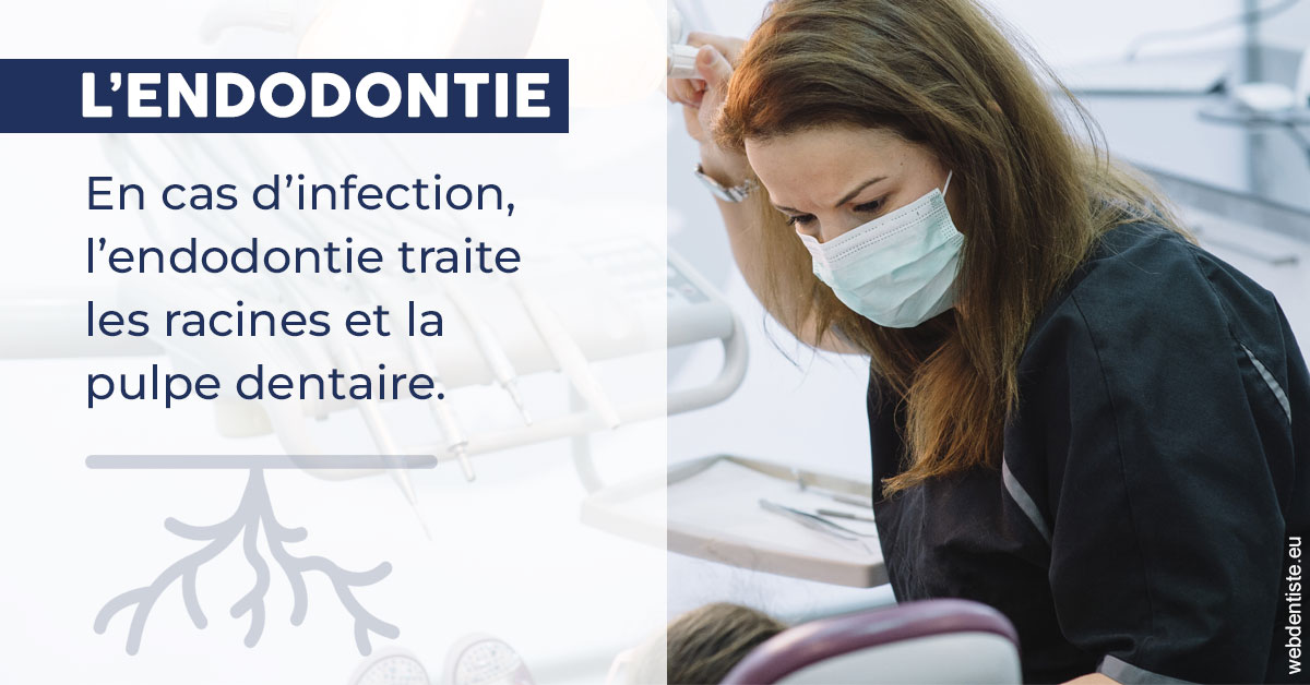 https://damiani-richelme.test.moncomptewebdentiste.fr/L'endodontie 1