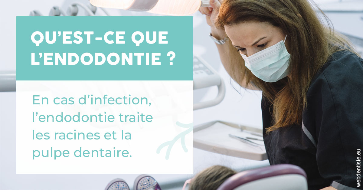 https://damiani-richelme.test.moncomptewebdentiste.fr/2024 T1 - Endodontie 01