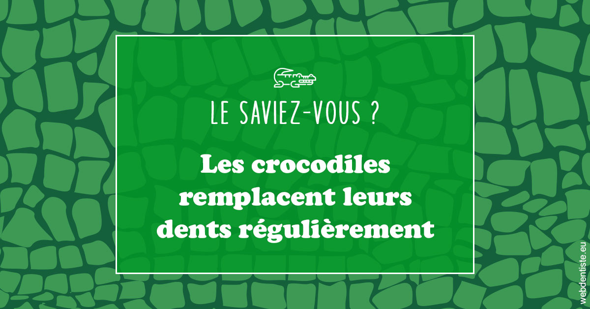 https://damiani-richelme.test.moncomptewebdentiste.fr/Crocodiles 1