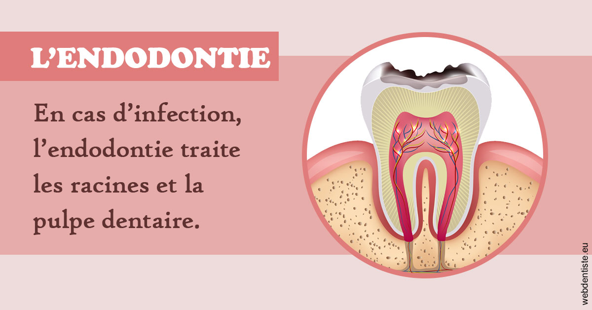 https://damiani-richelme.test.moncomptewebdentiste.fr/L'endodontie 2